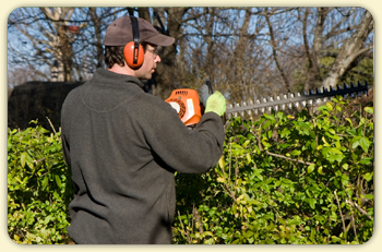 trimming services